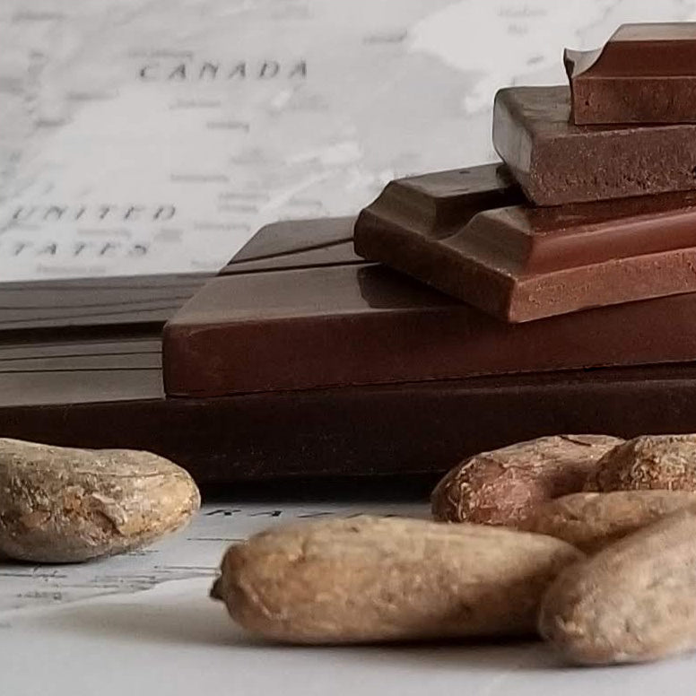photo of cocoa beans and some bean-to-bar chocolate pieces