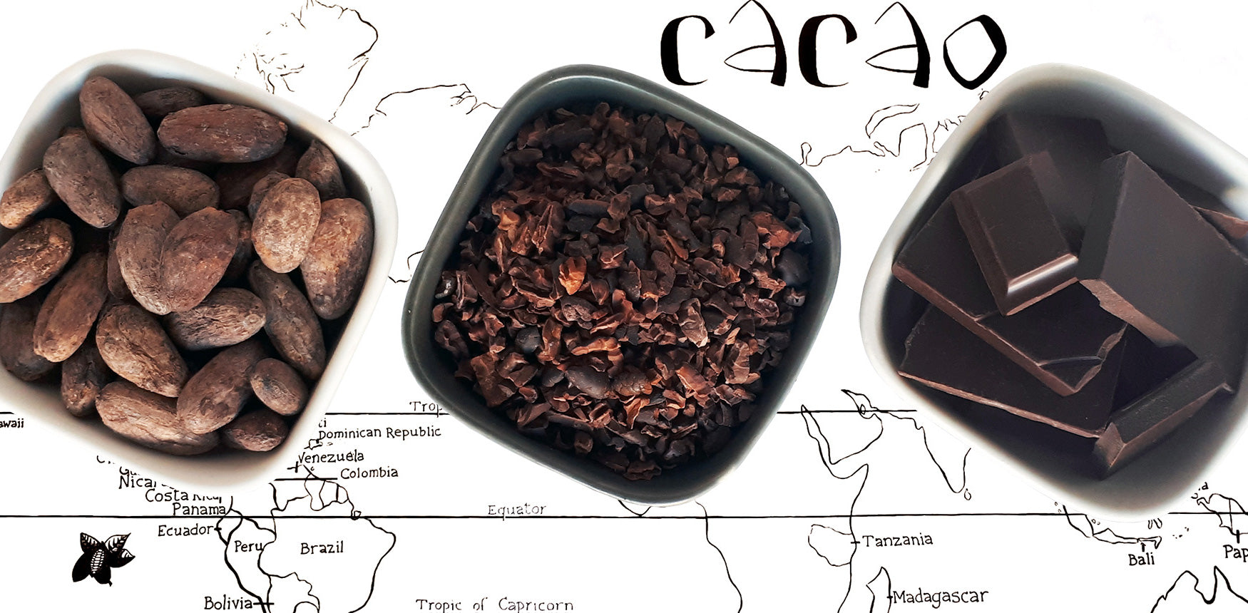 Image of cocoa beans, cocoa nibs and bean to bar chocolate
