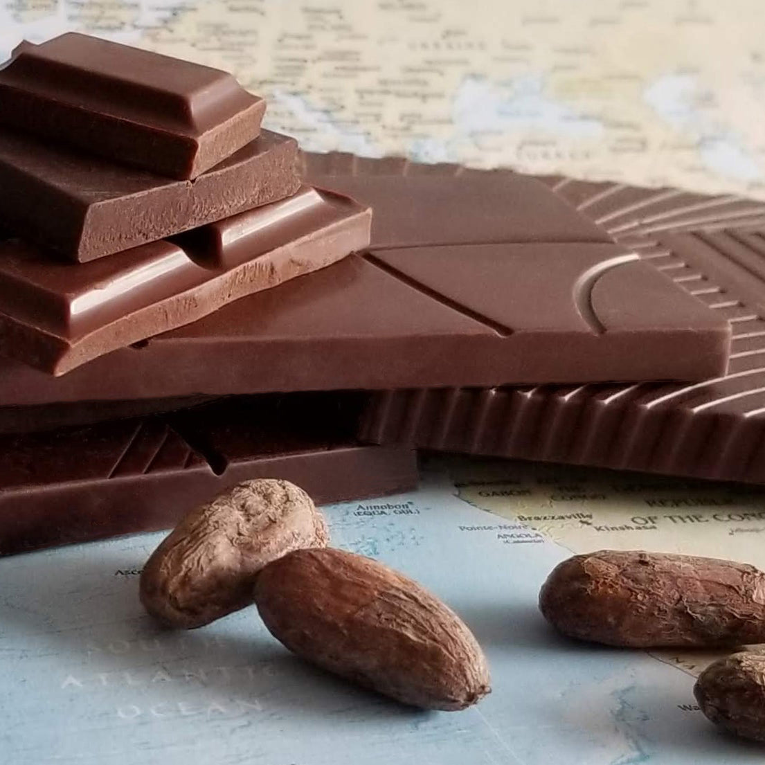 photo of bean to bar chocolate and cocoa pods